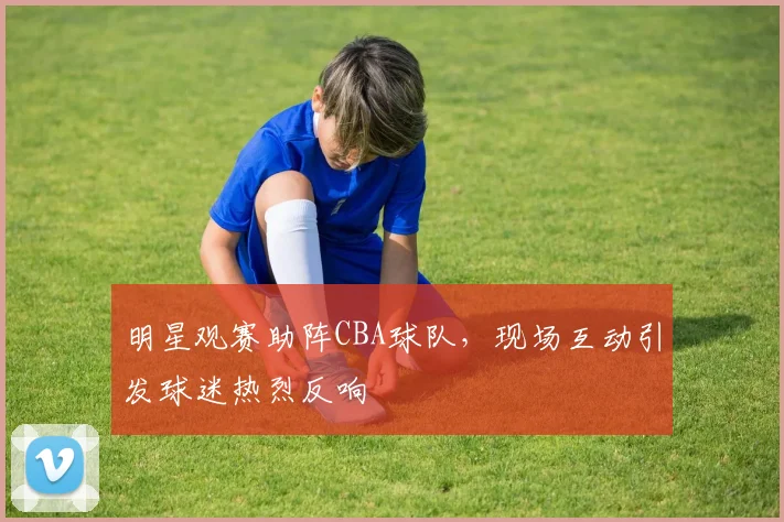 明星观赛助阵CBA球队，现场互动引发球迷热烈反响