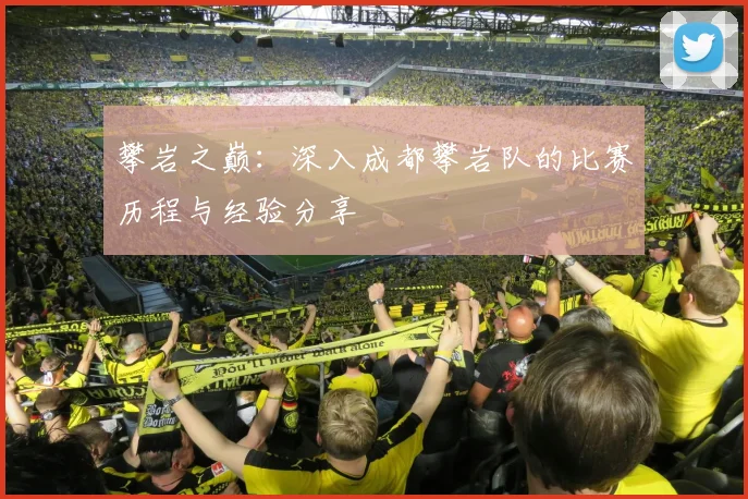 攀岩之巅：深入成都攀岩队的比赛历程与经验分享